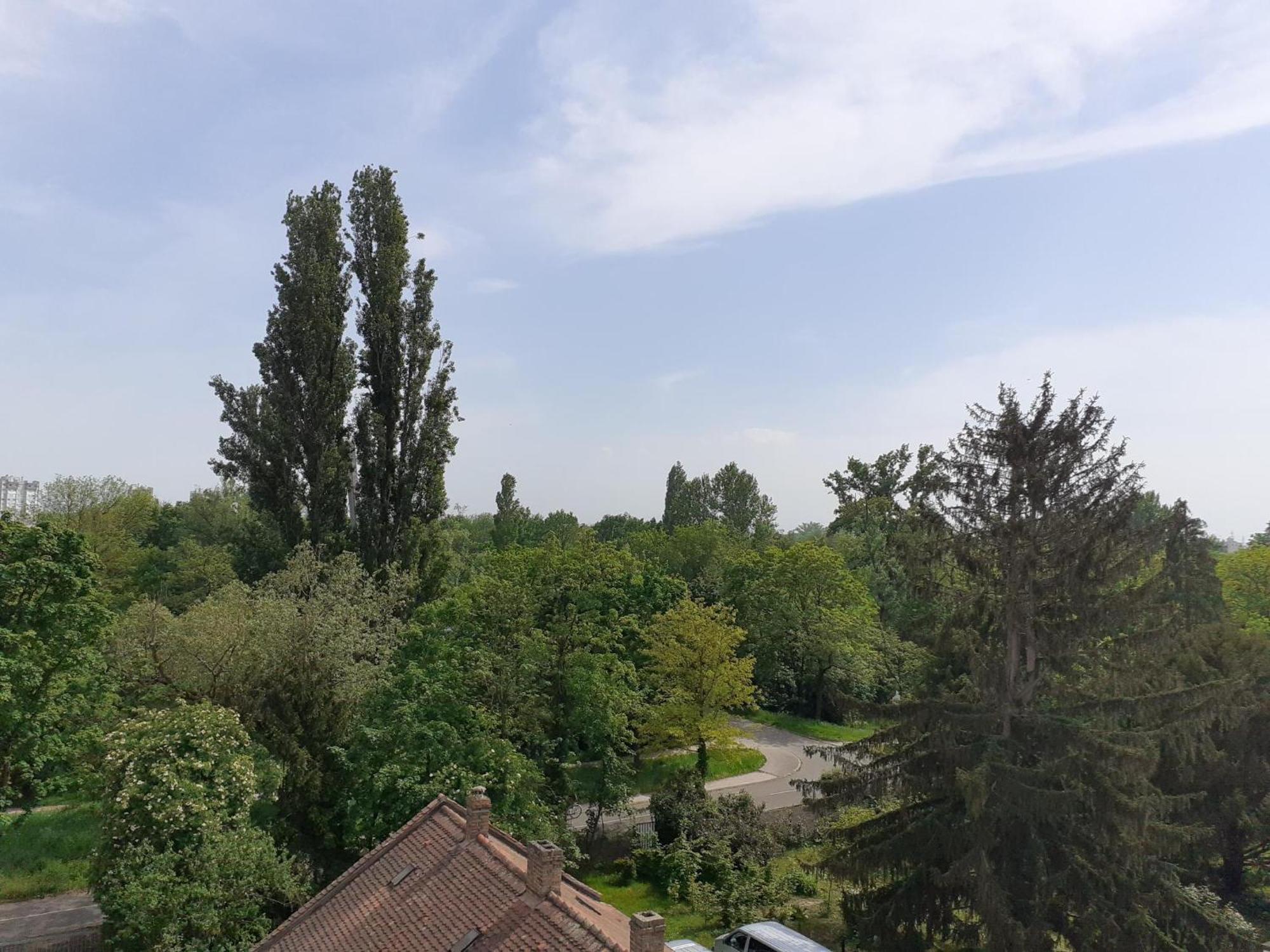 Appartement Sur Les Bords De L'Ill สตราสบูร์ก ภายนอก รูปภาพ